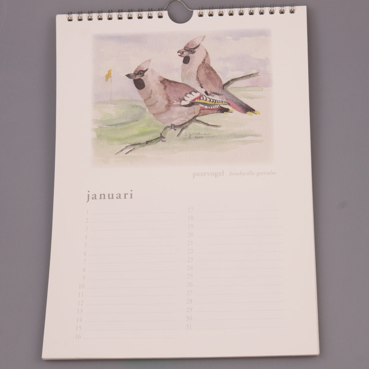 Kalender S. Grundmann