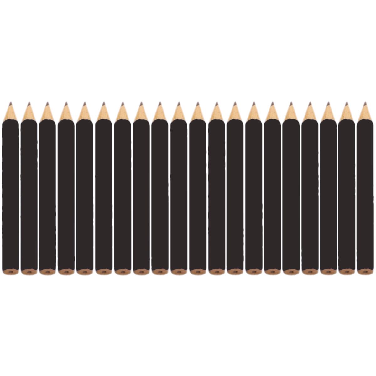 Potlood zwart (20 stuks)