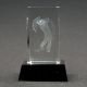 Golftrofee