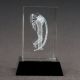 Golftrofee