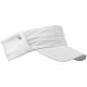 Daily Sports Aurora 253/603 100 wind visor