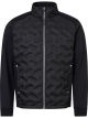 Abacus heren golfjacket