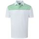 Footjoy Golf polo