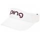 Ping visor
