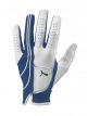 Puma Golfhandschoen